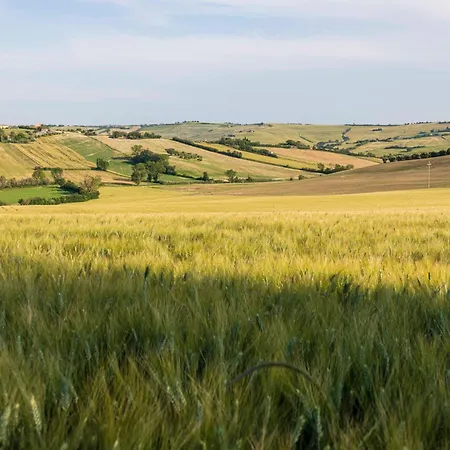 مزرعة للإقامة Agri Divin