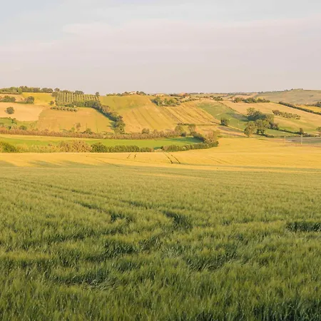 Agri Divin San Costanzo