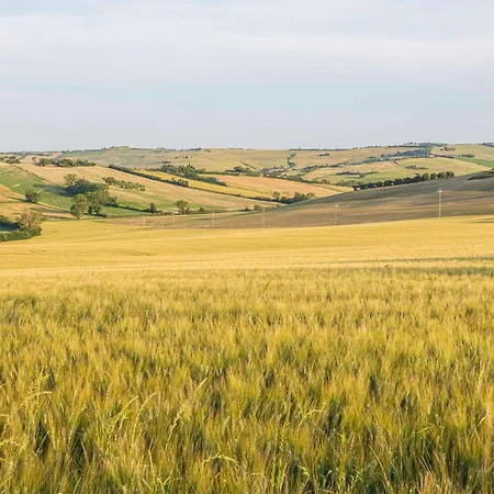 ファームステイ Agri Divin