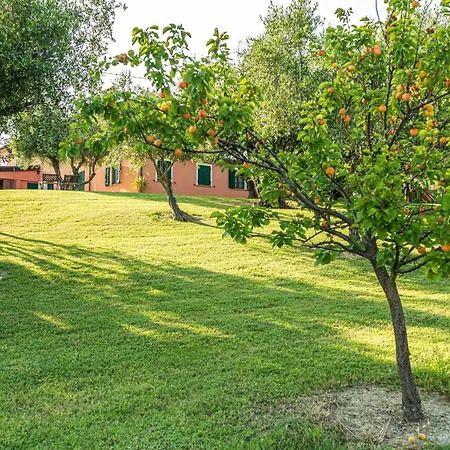 Agri Divin ファームステイ *