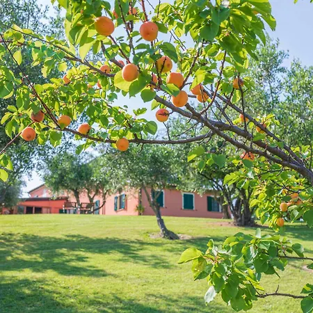 مزرعة للإقامة Agri Divin