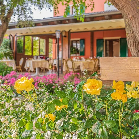 Agri Divin ファームステイ