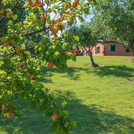 Agri Divin مزرعة للإقامة *