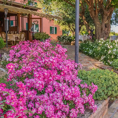 Agri Divin ファームステイ