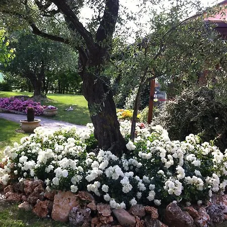 ファームステイ Agri Divin *