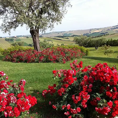 مزرعة للإقامة Agri Divin